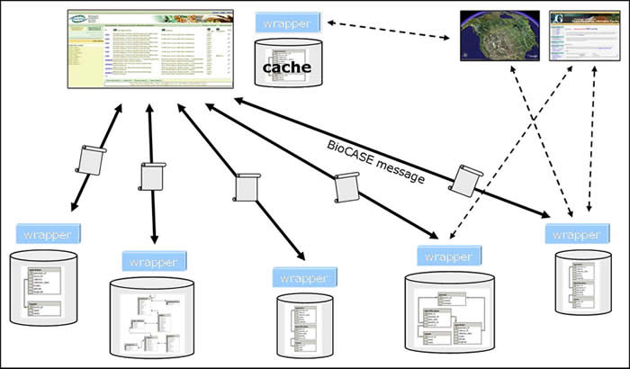 unit network